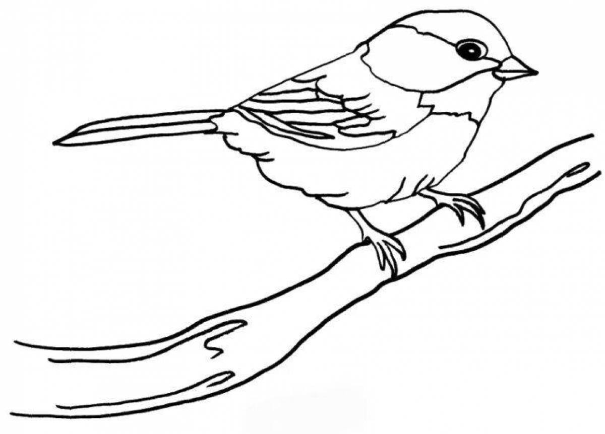 Gorgeous sparrow coloring book for kids