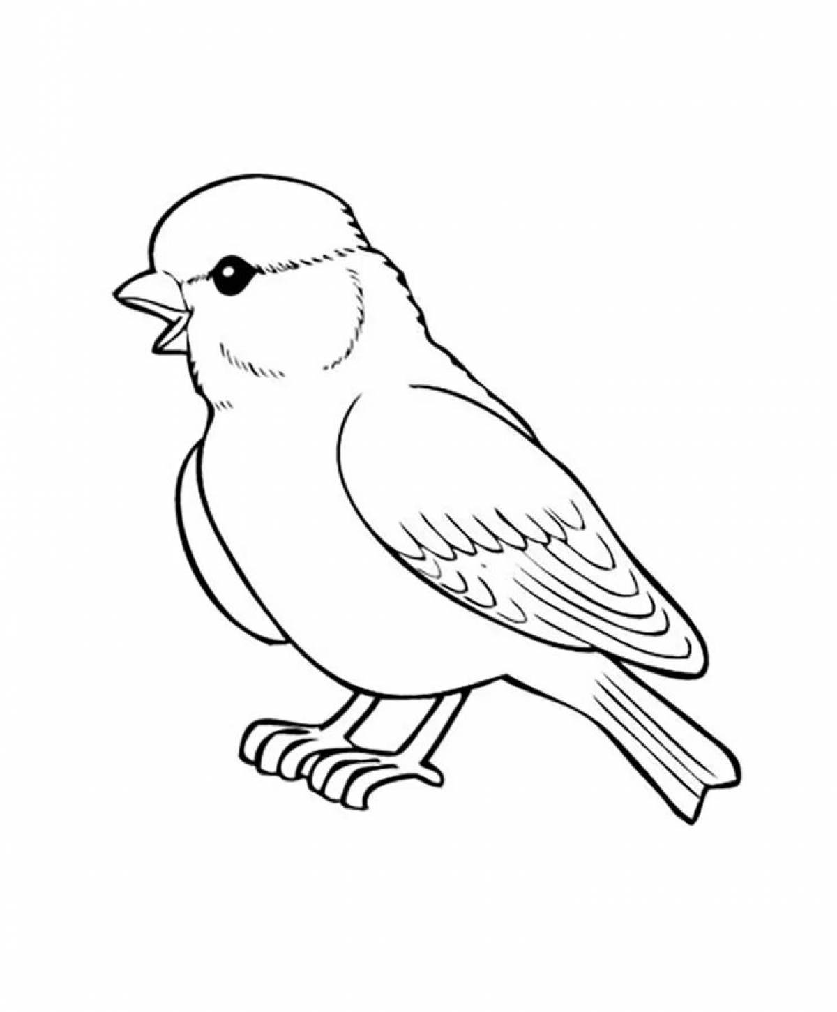 Fun coloring sparrow for kids