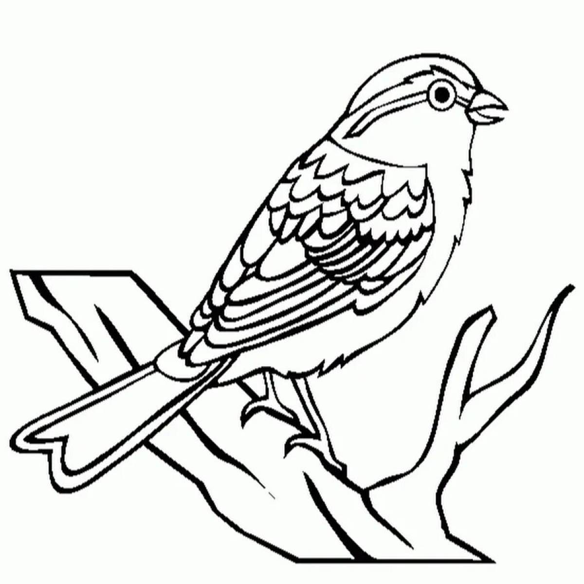 Sparrow holiday coloring book for kids