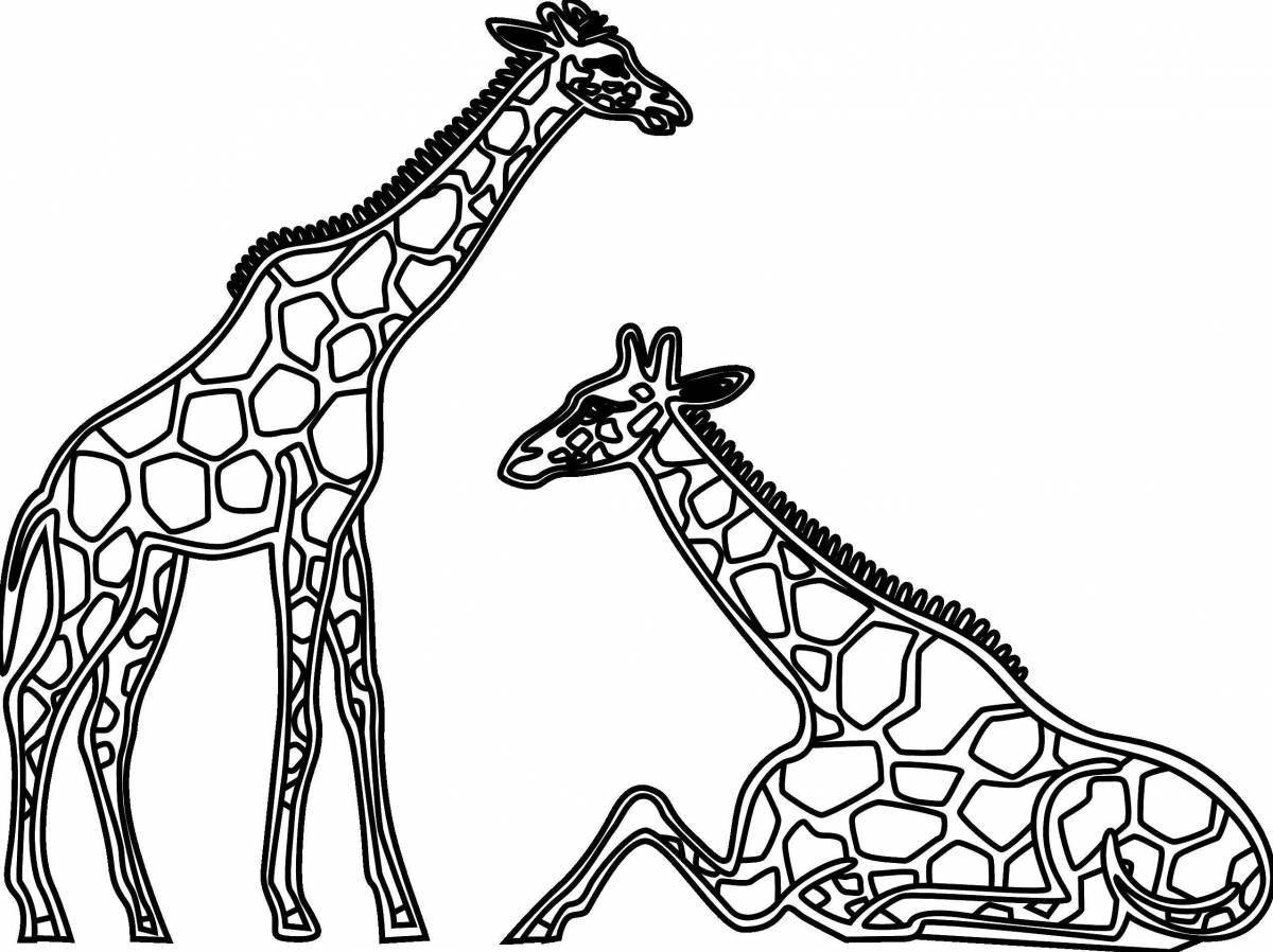 Раскраски большой жираф для детей