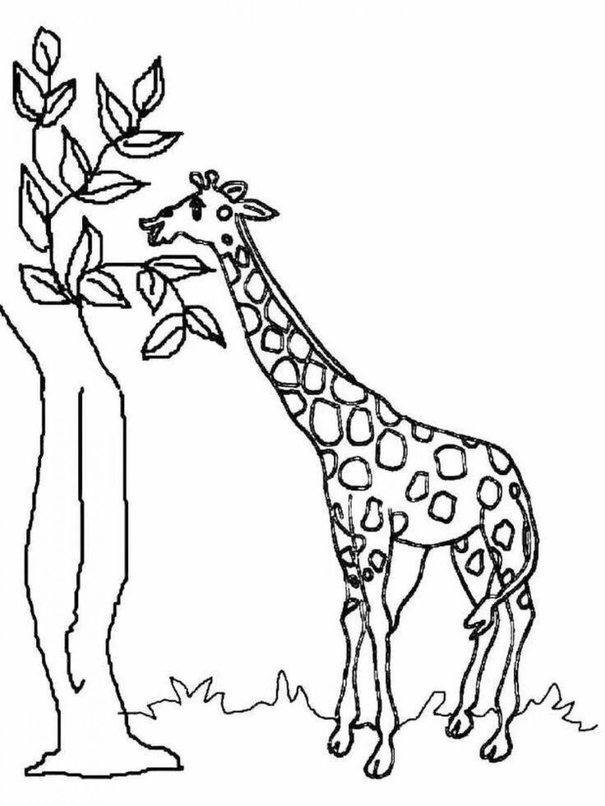 Shiny giraffe coloring book for kids