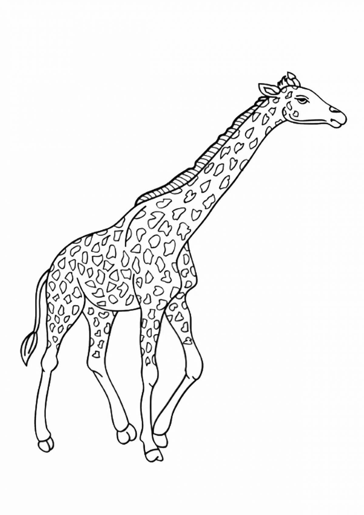 Жираф картинка для детей #2