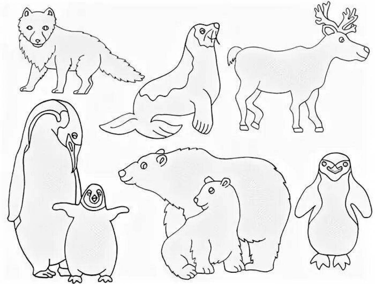 Coloring for preschool animals in cold countries