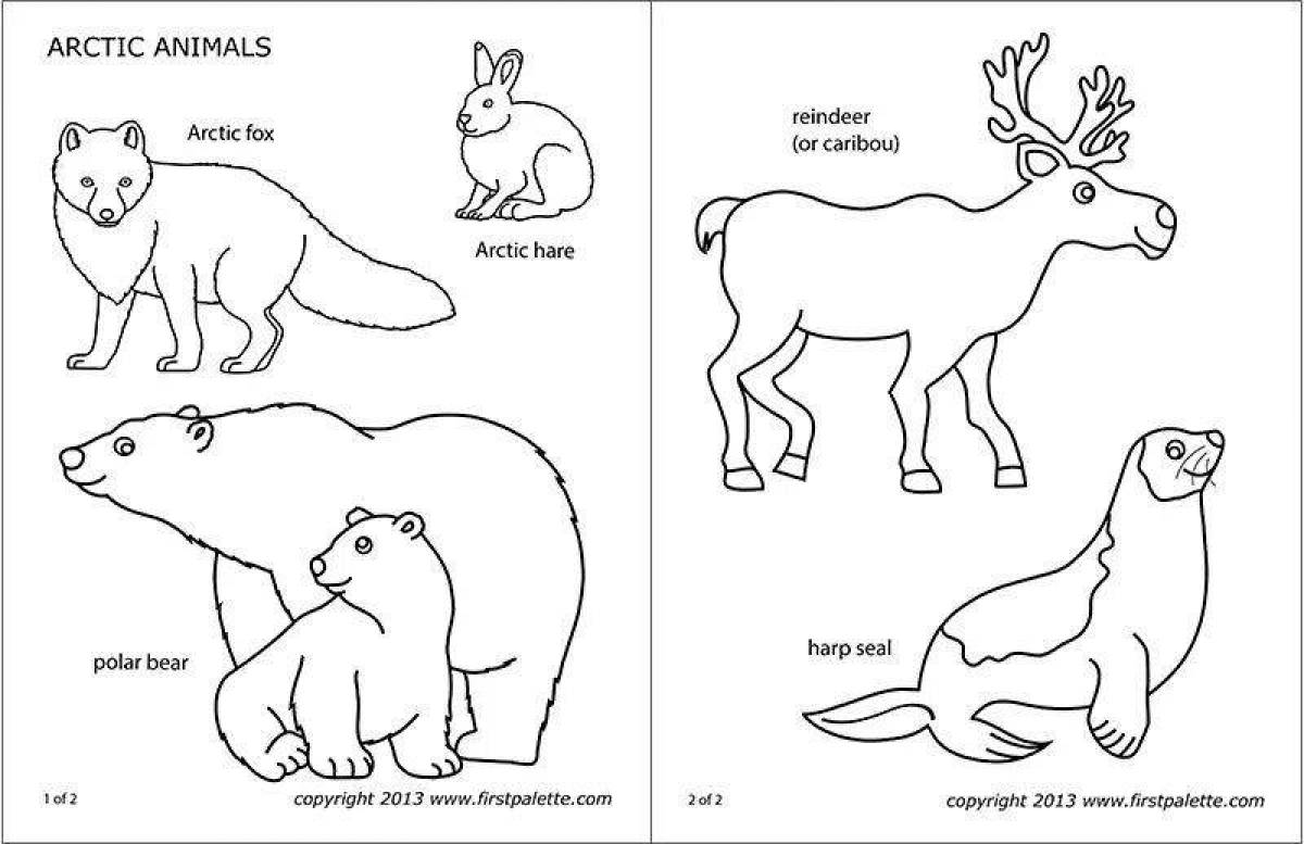 Majestic Cold Country Animals Coloring Pages for Preschoolers