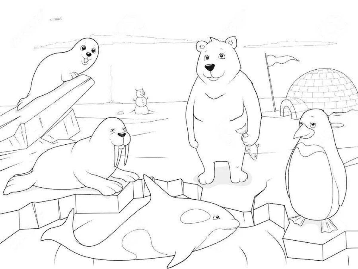 Live coloring pages animals of cold countries for preschoolers