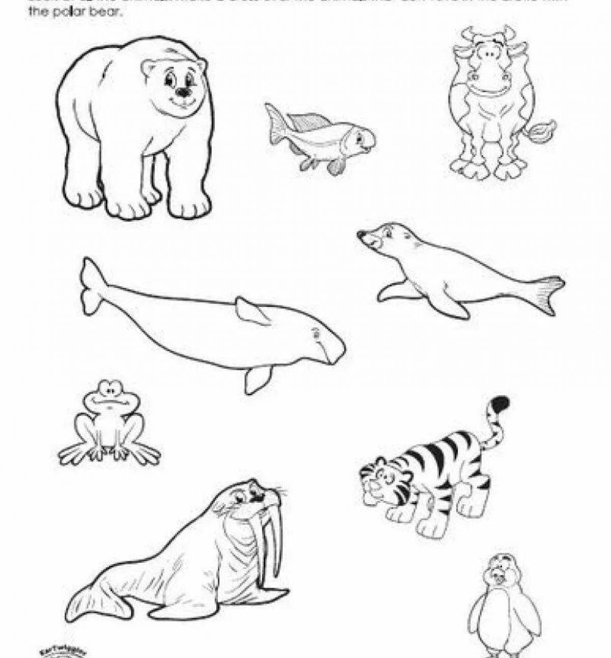 Wonderful coloring pages animals of cold countries for preschoolers