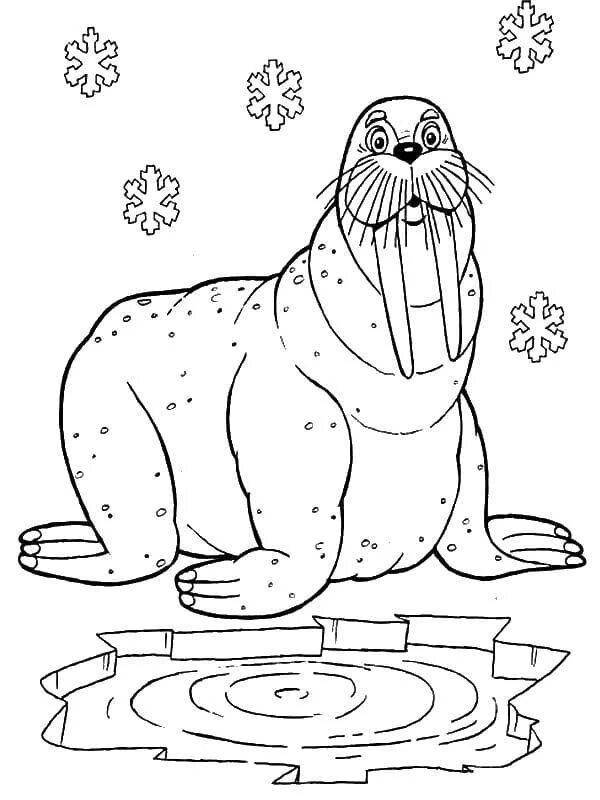 Picturesque coloring animals of cold countries for preschoolers