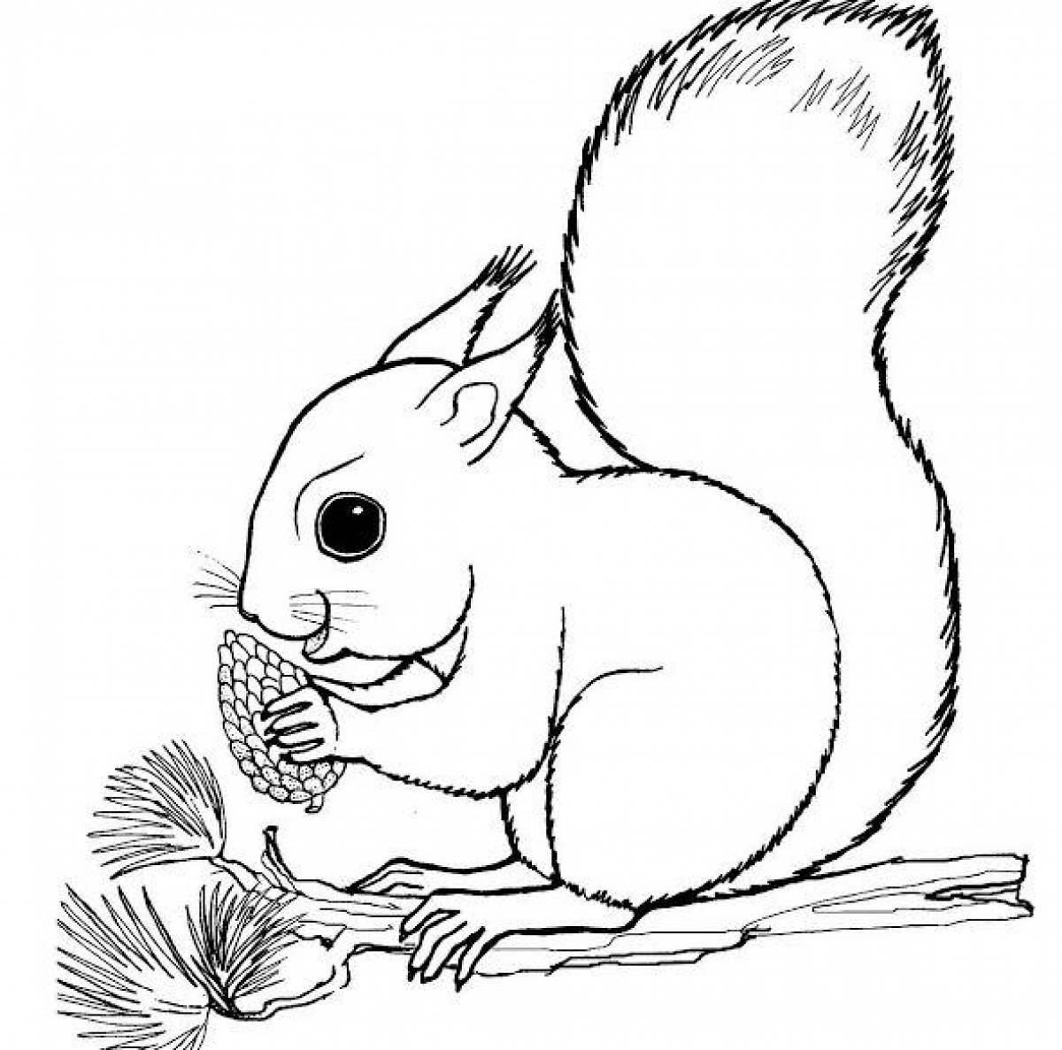 Squirrel live coloring for children 3-4 years old