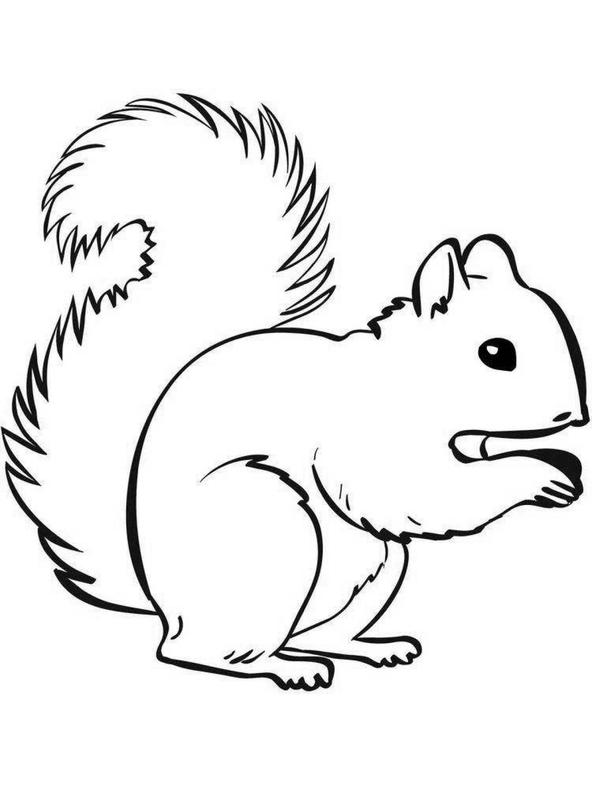 Fancy squirrel coloring book for 3-4 year olds