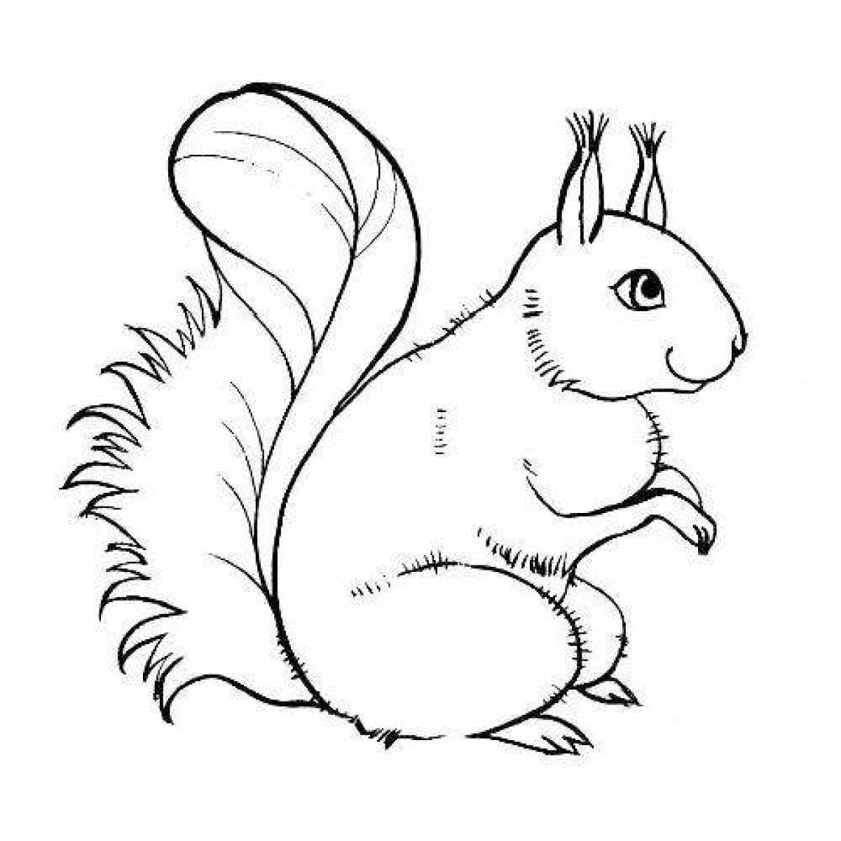 Radiant squirrel coloring book for 3-4 year olds