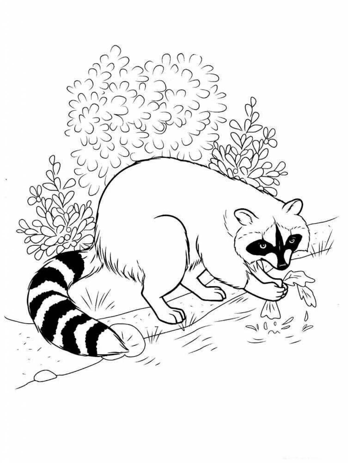 Coloring page playful raccoon