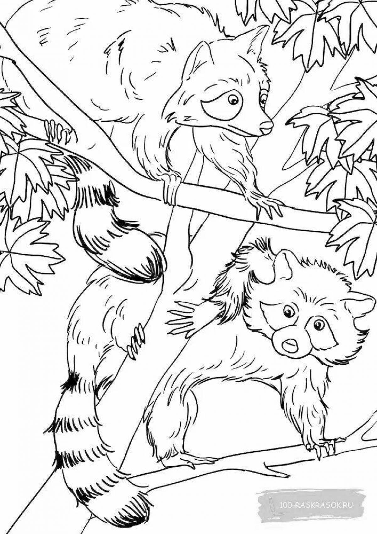 Naughty raccoon coloring page