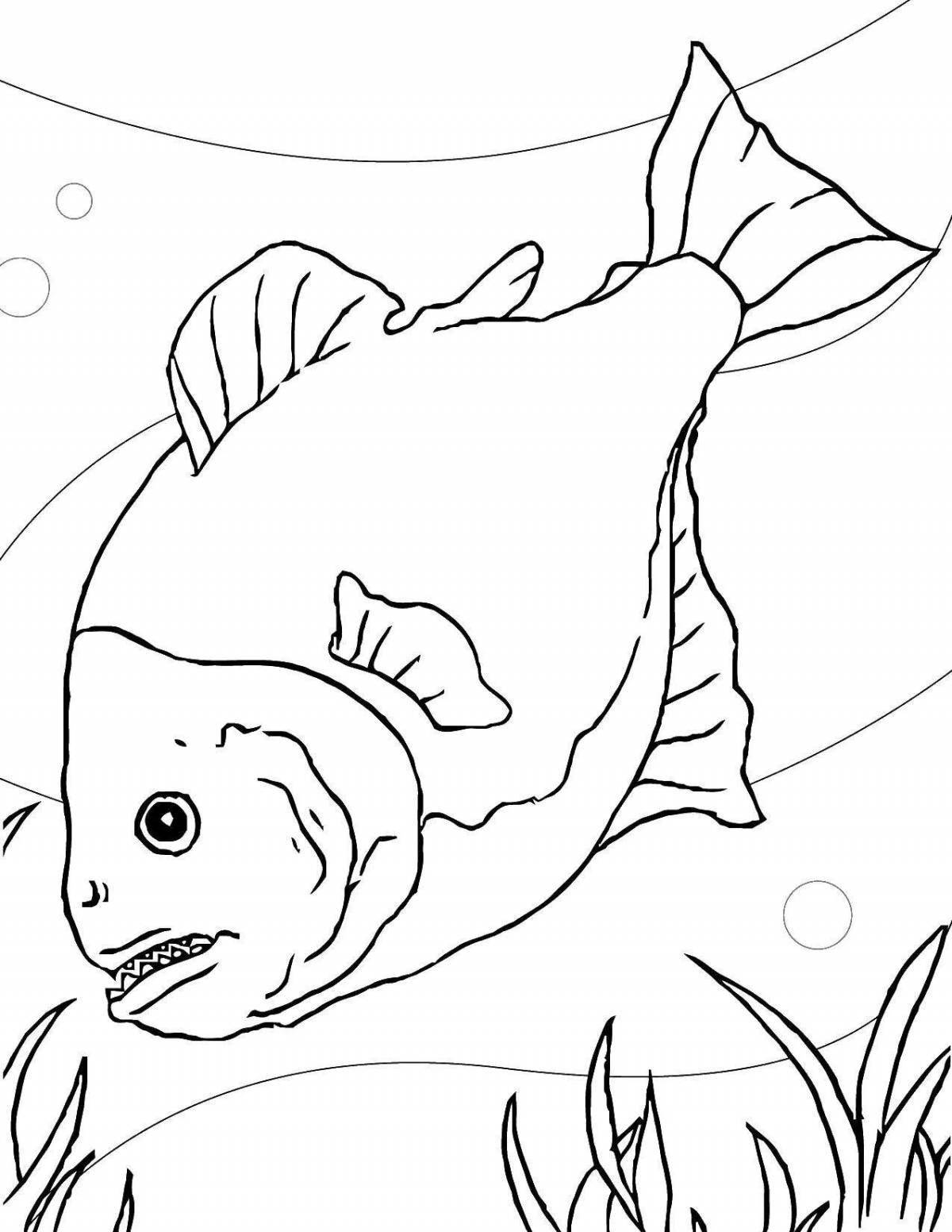 Coloring piranha