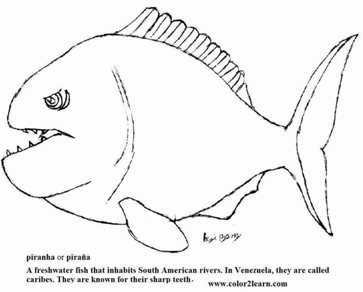 Fat piranha coloring book