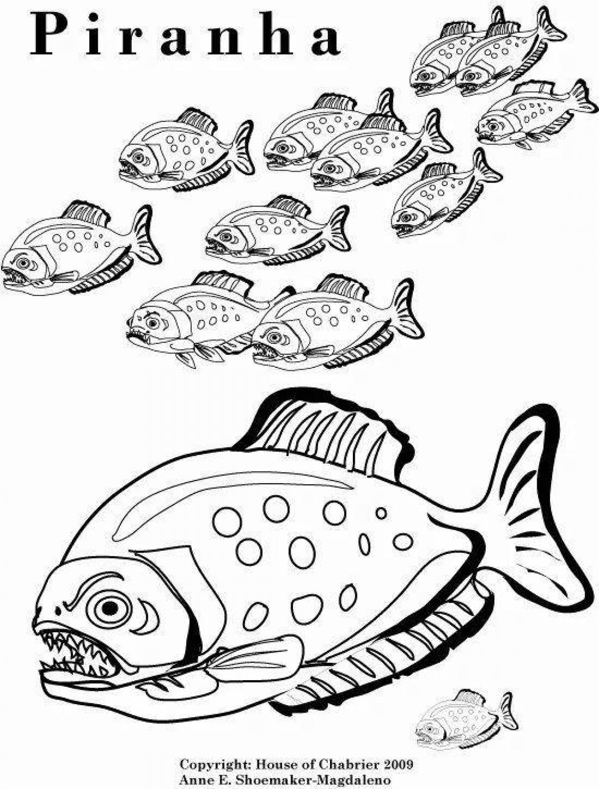 Great piranha coloring book