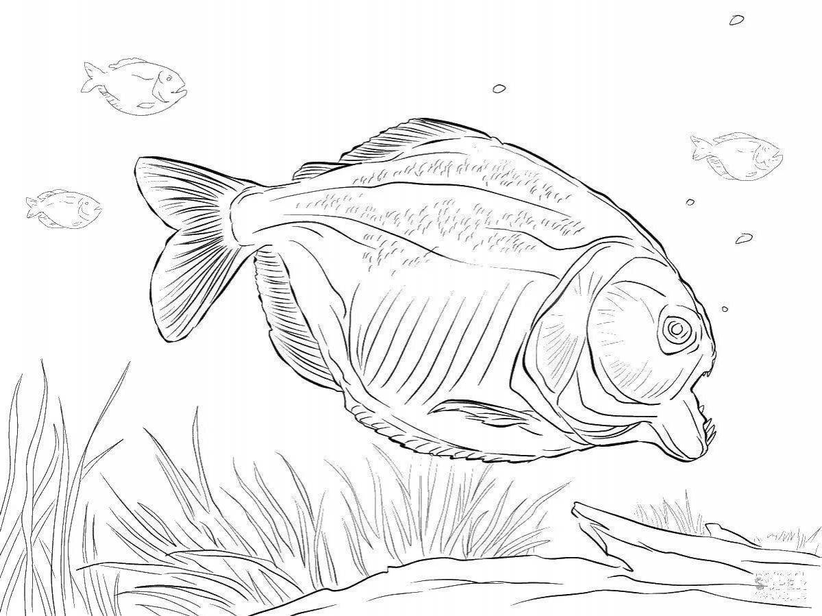 Witty piranha coloring book