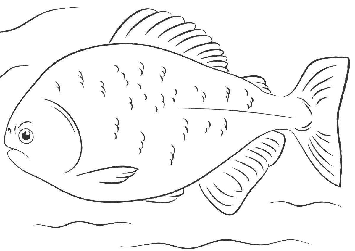 Piranha #3