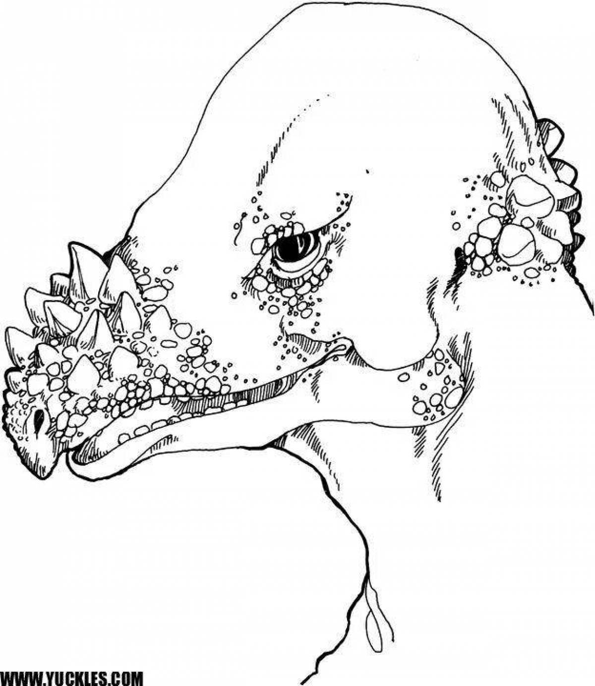 Coloring page funny pachycephalosaurus