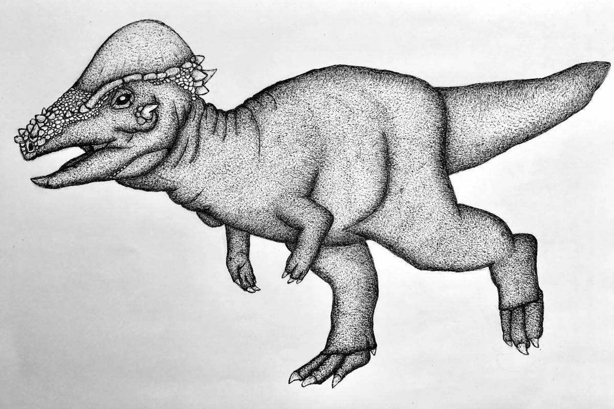 Attractive pachycephalosaurus coloring page