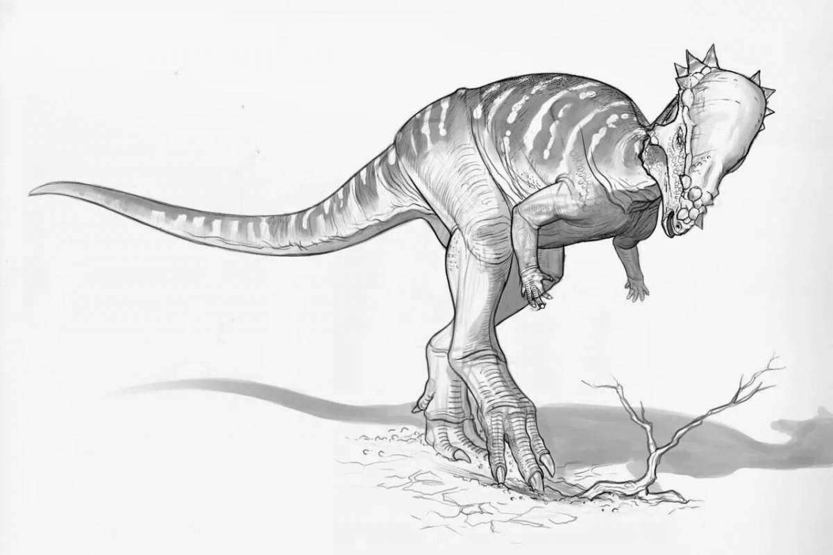 Coloring page magnificent pachycephalosaurus