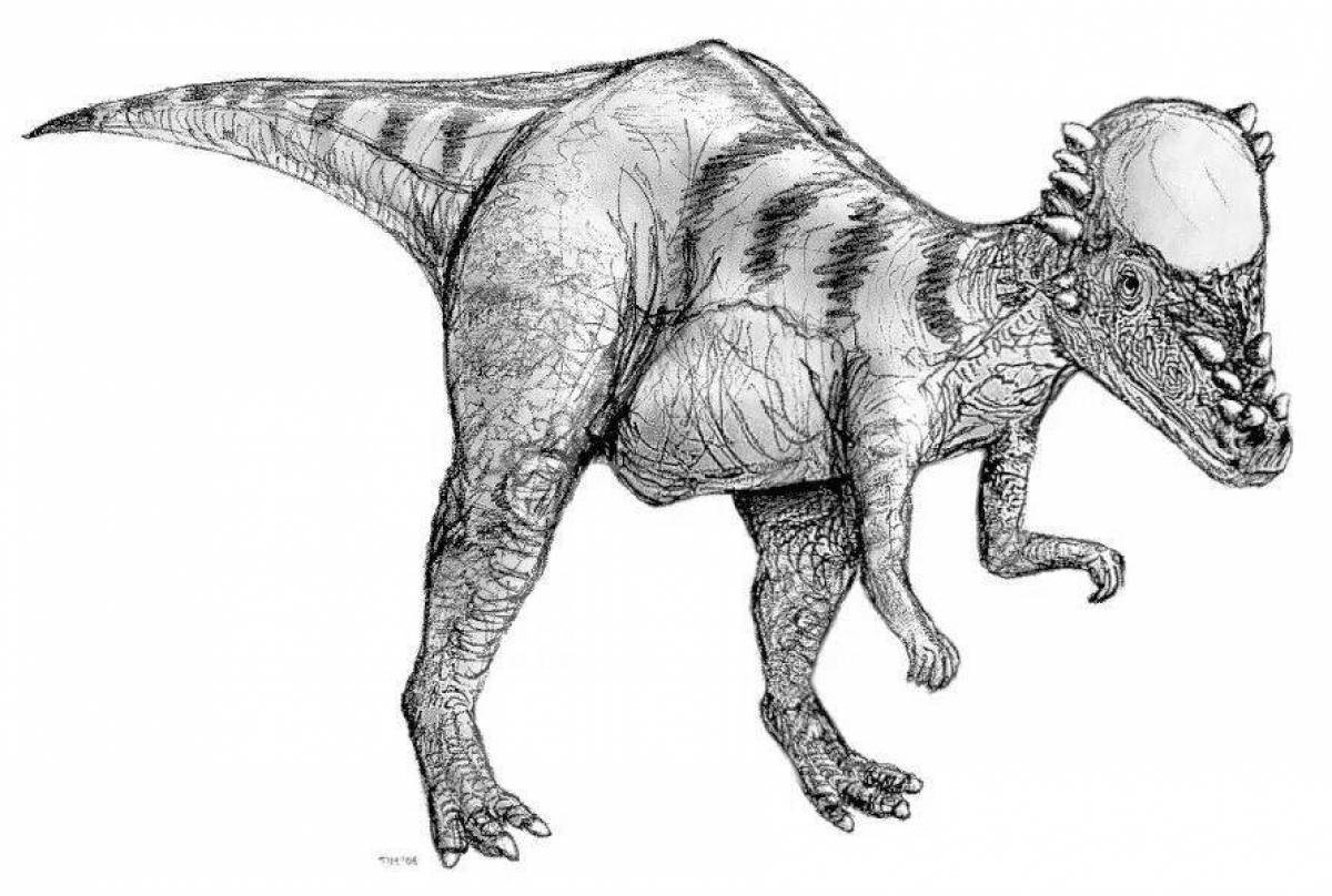 Majestic pachycephalosaurus coloring page