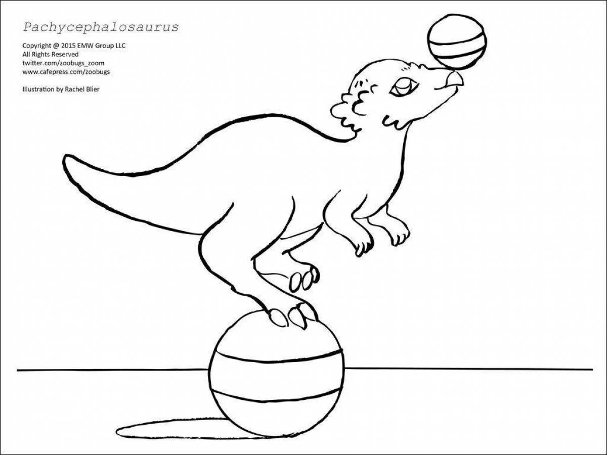 Раскраска изящный пахицефалозавр