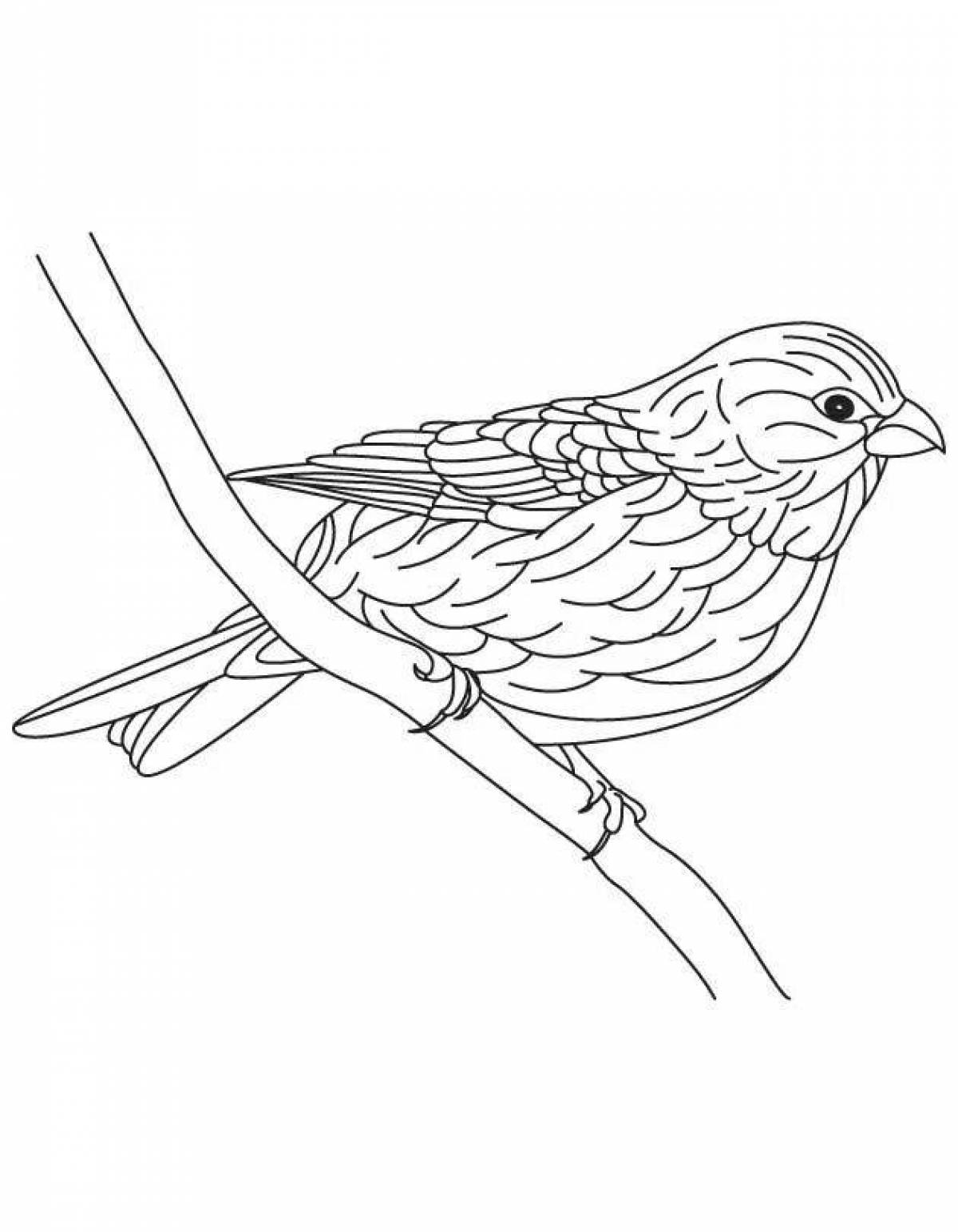 Holiday lark coloring page