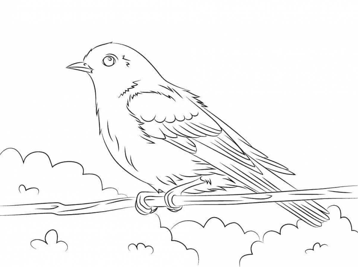 Lark Coloring Page