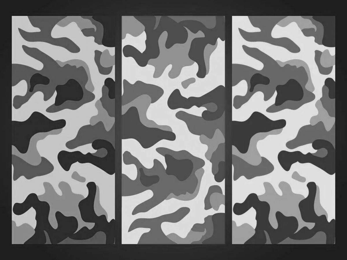 Types of camouflage #2