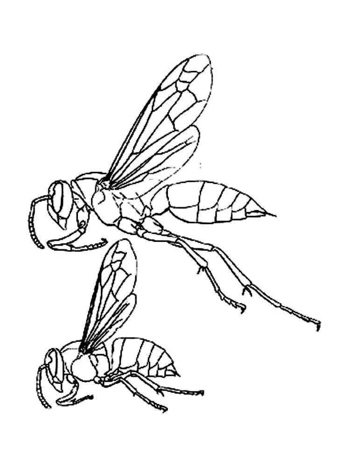 Оса для раскрашивания детям