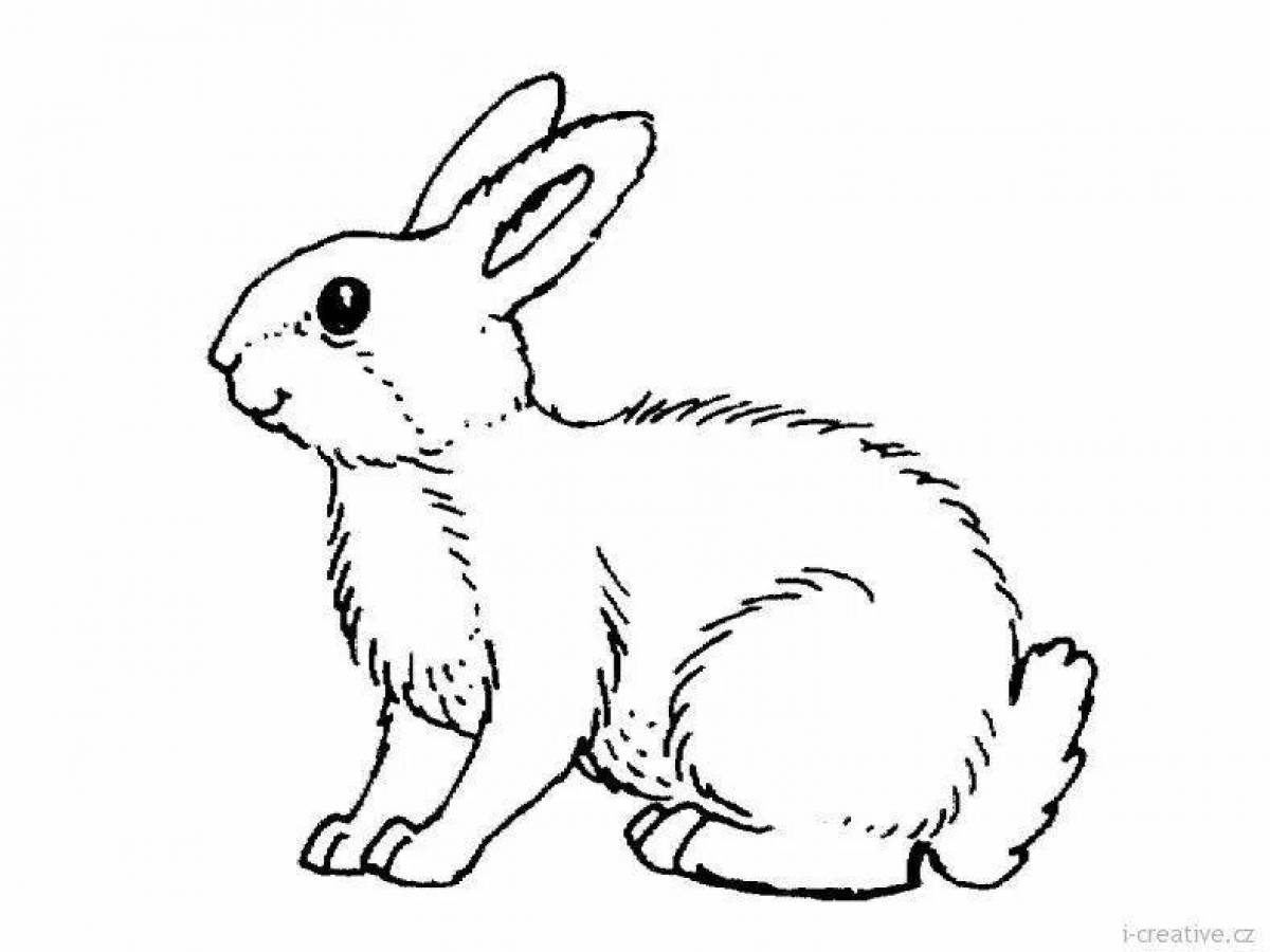 Кролик рисунок для детей раскраска