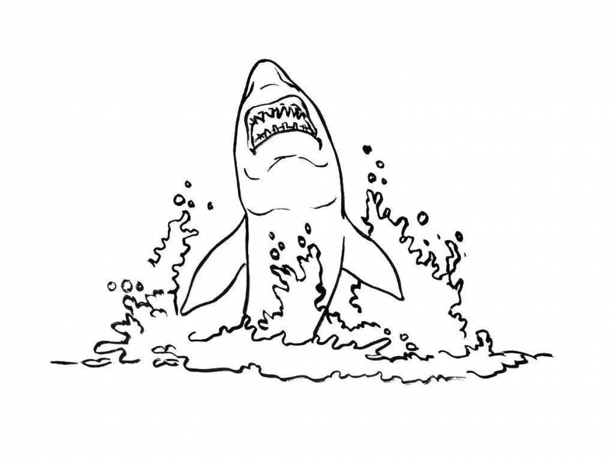 Пасть акулы раскраска