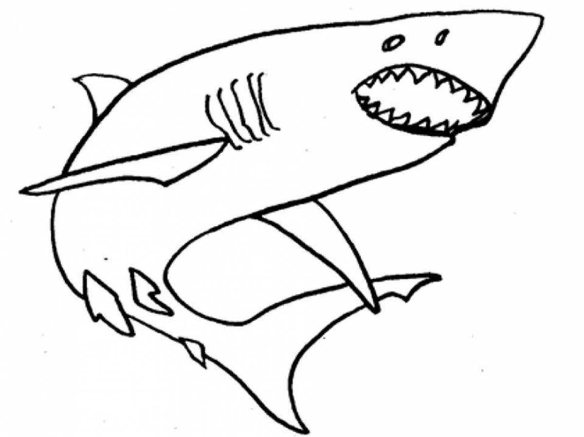 Белая акула раскраска для детей