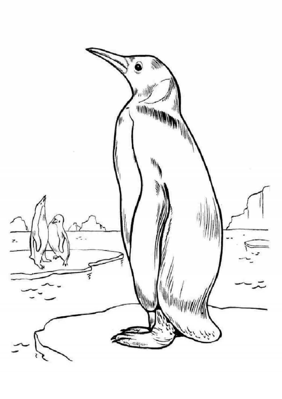 Императорский Пингвин раскраска для детей