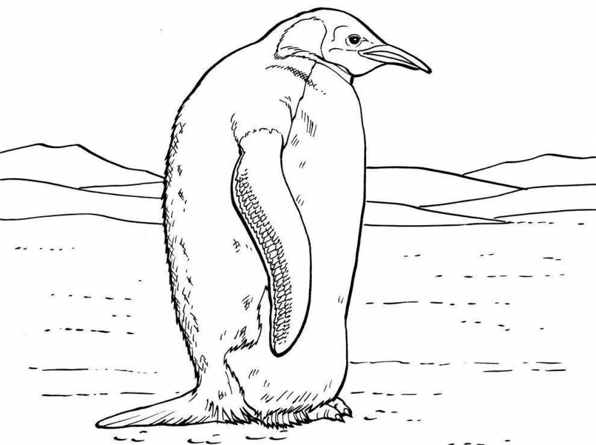 Shiny emperor penguin coloring book