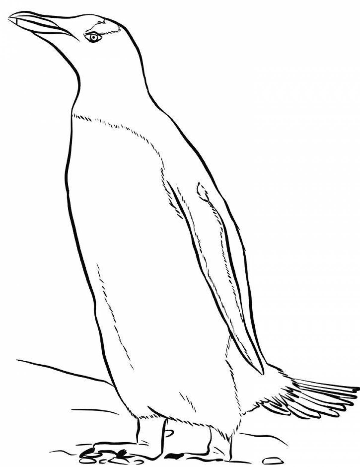 Раскраска ослепительный императорский пингвин