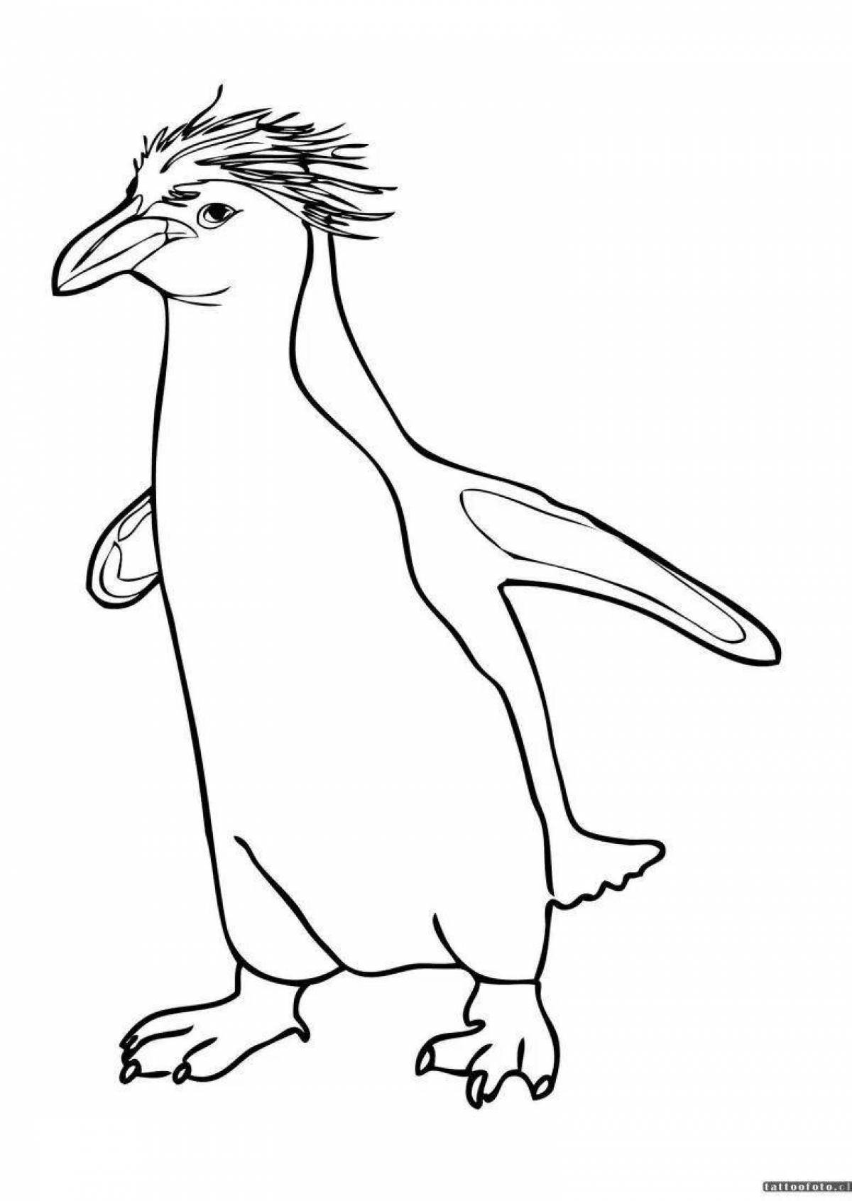 Хохлатый Пингвин раскраска