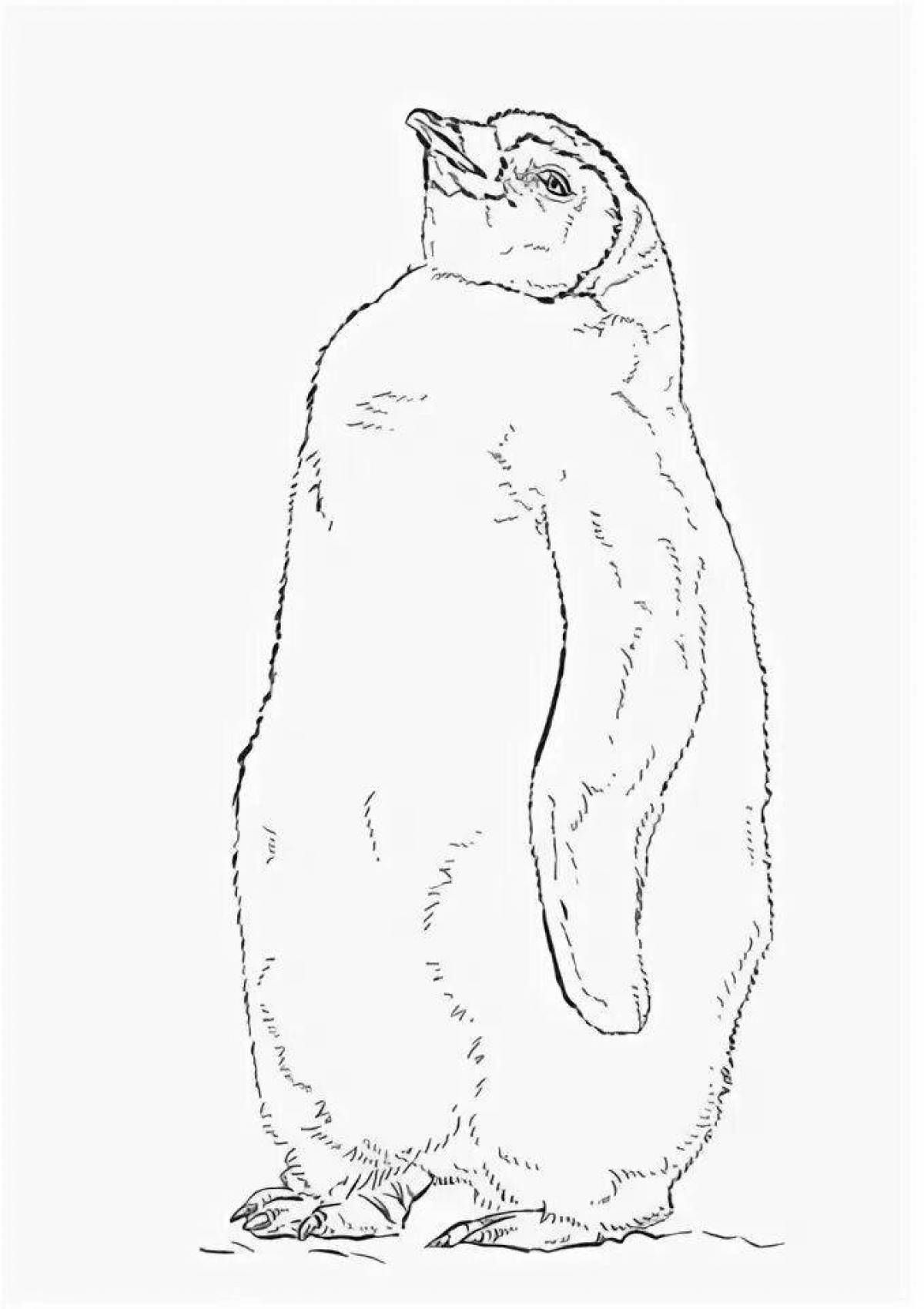 Adorable emperor penguin coloring page