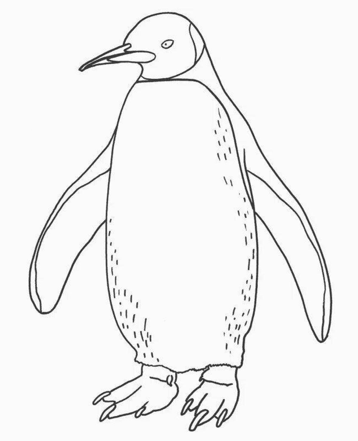 Live emperor penguin coloring book