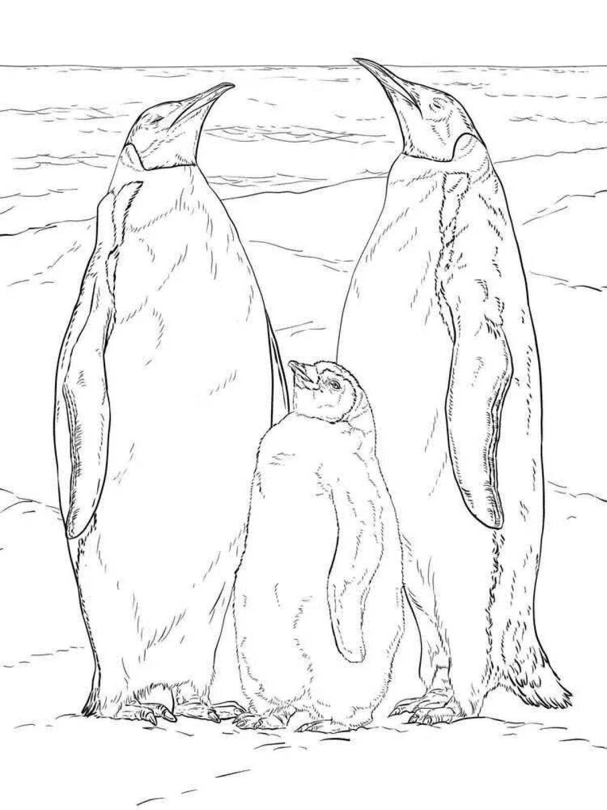 Раскраска завораживающий императорский пингвин