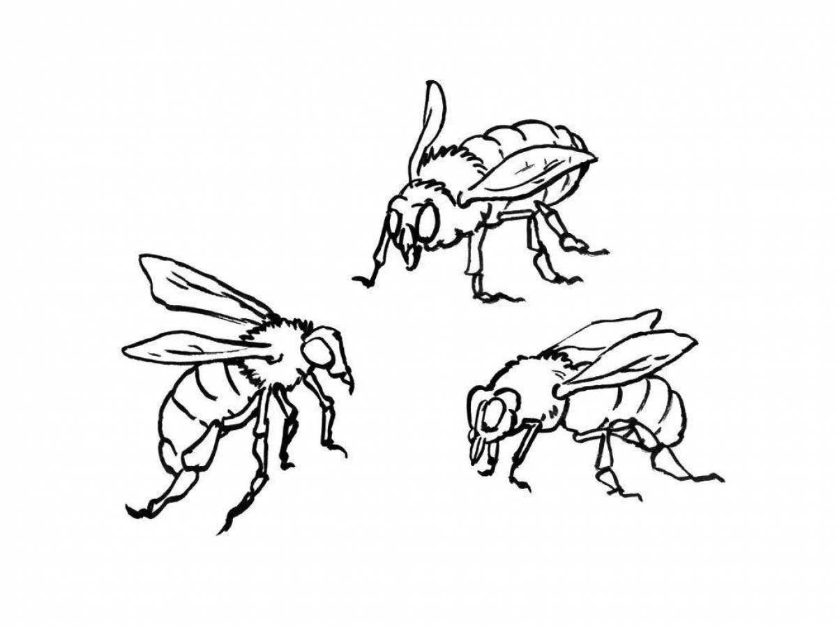 Игривая страница раскраски осы для детей
