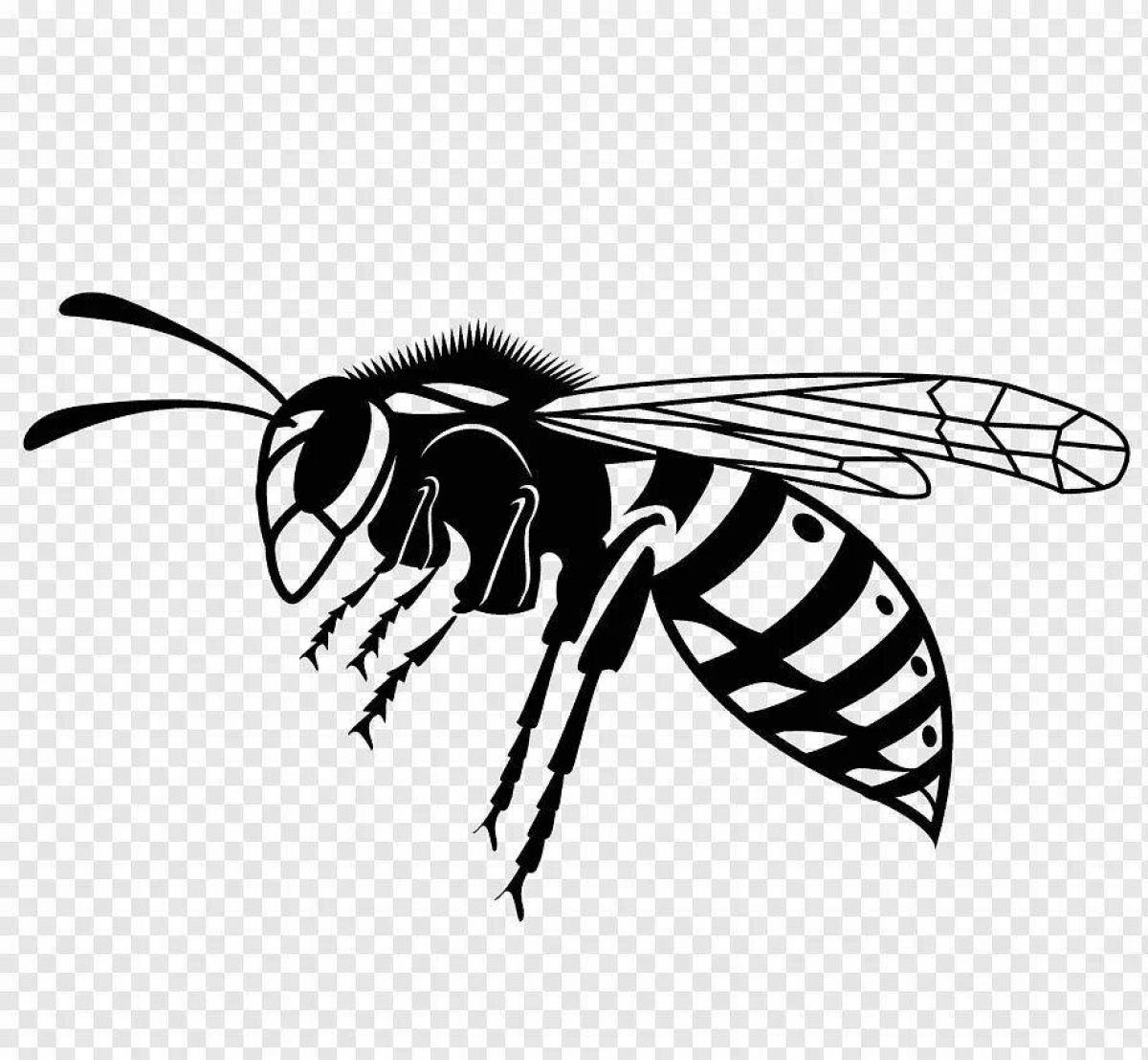 Amazing wasp coloring page for kids