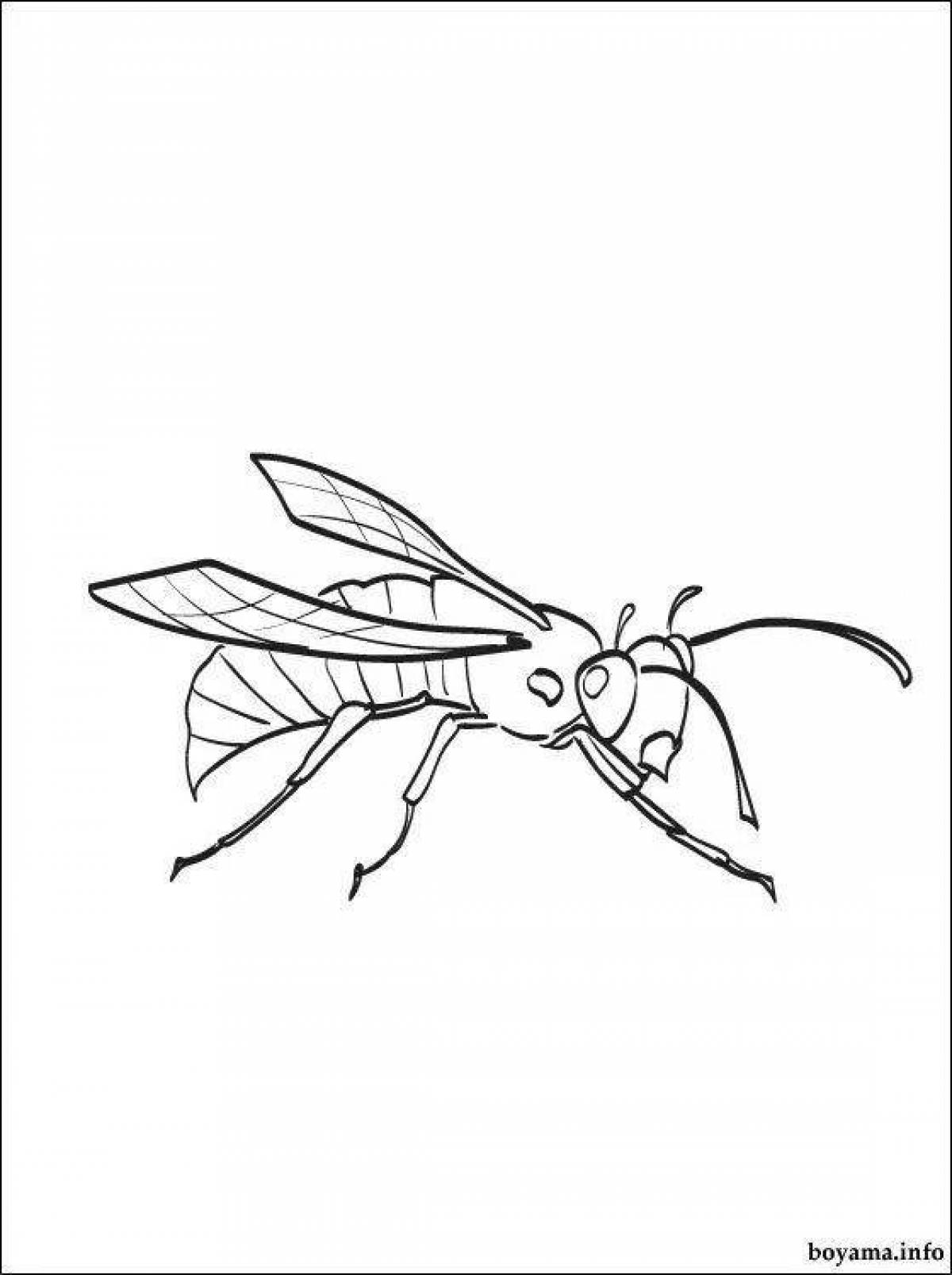 Adorable wasp coloring book for kids