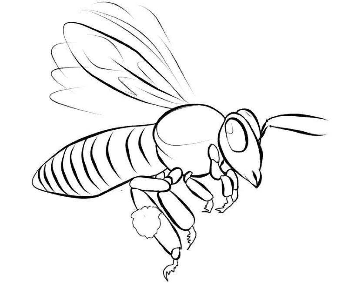 Wonderful wasp coloring book for kids