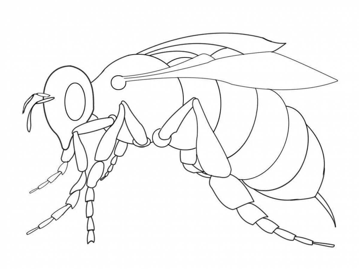 Coloring wasp for kids