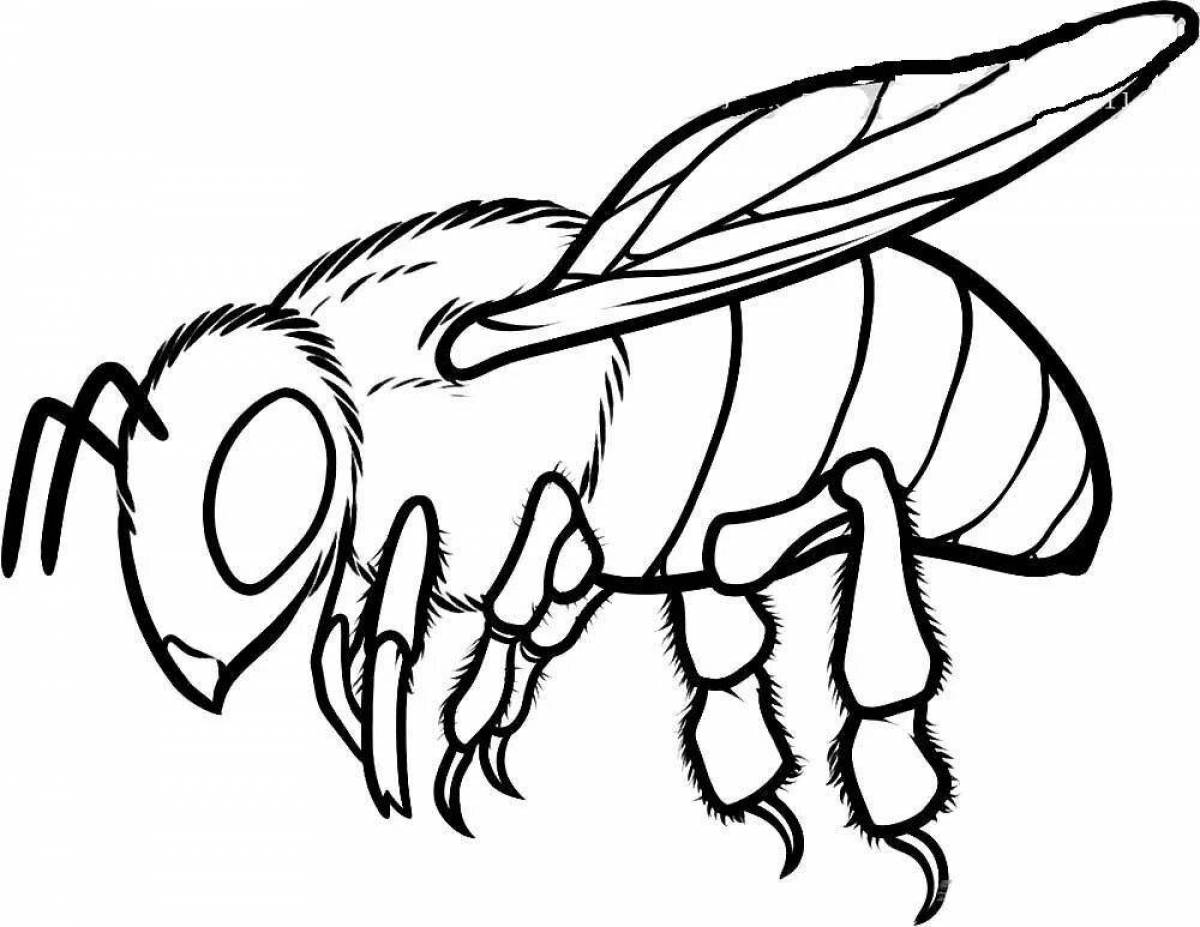 Exciting wasp coloring book for kids