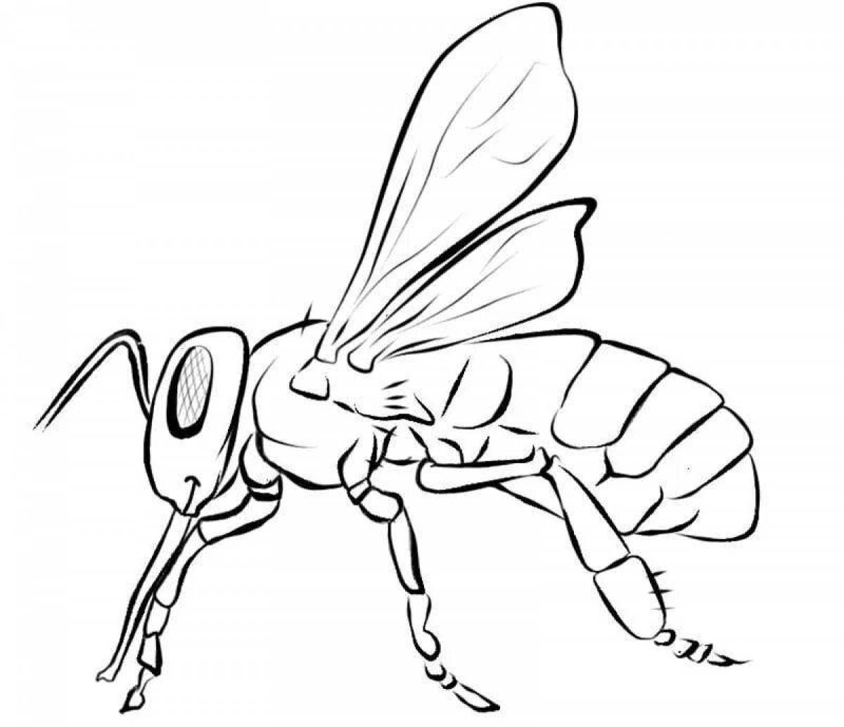 Уникальная страница раскраски осы для детей