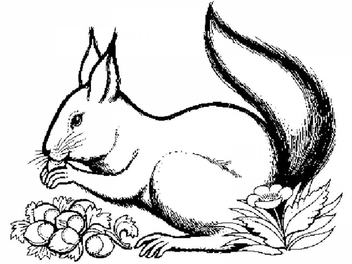 Funny squirrel coloring picture for kids