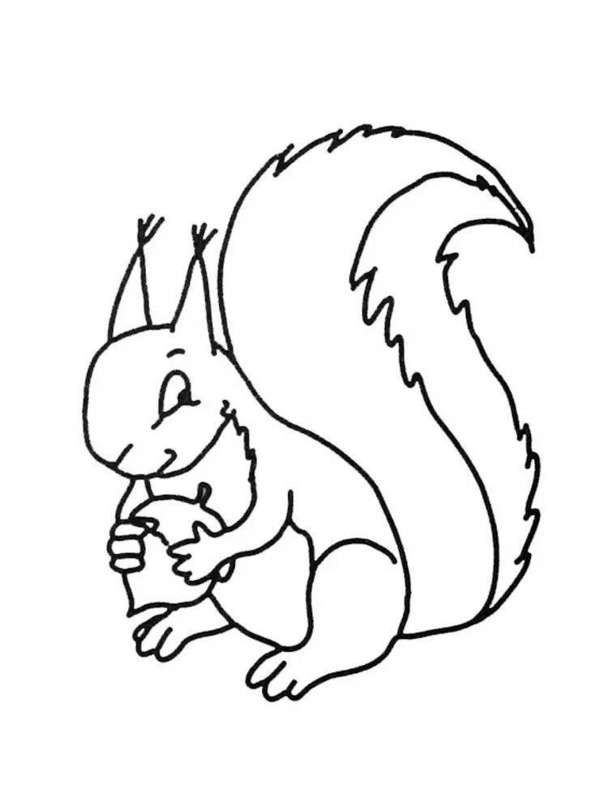 Squirrel playful coloring for kids