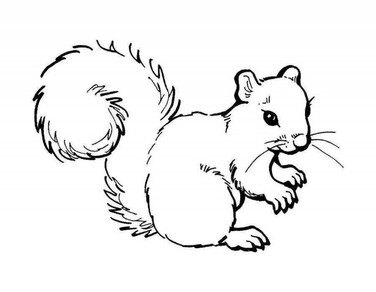 Joyful squirrel coloring for kids